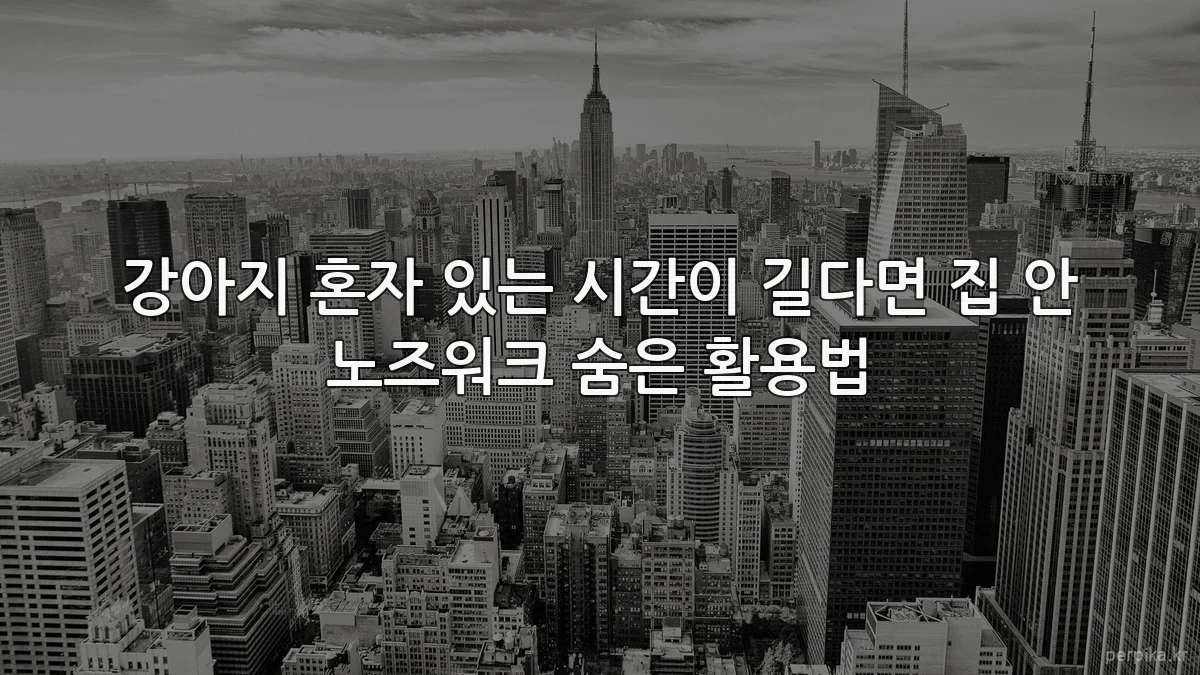 강아지 혼자 있는 시간이 길다면 집 안 노즈워크 숨은 활용법