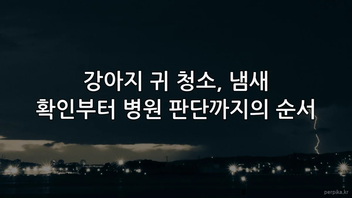 강아지 귀 청소, 냄새 확인부터 병원 판단까지의 순서