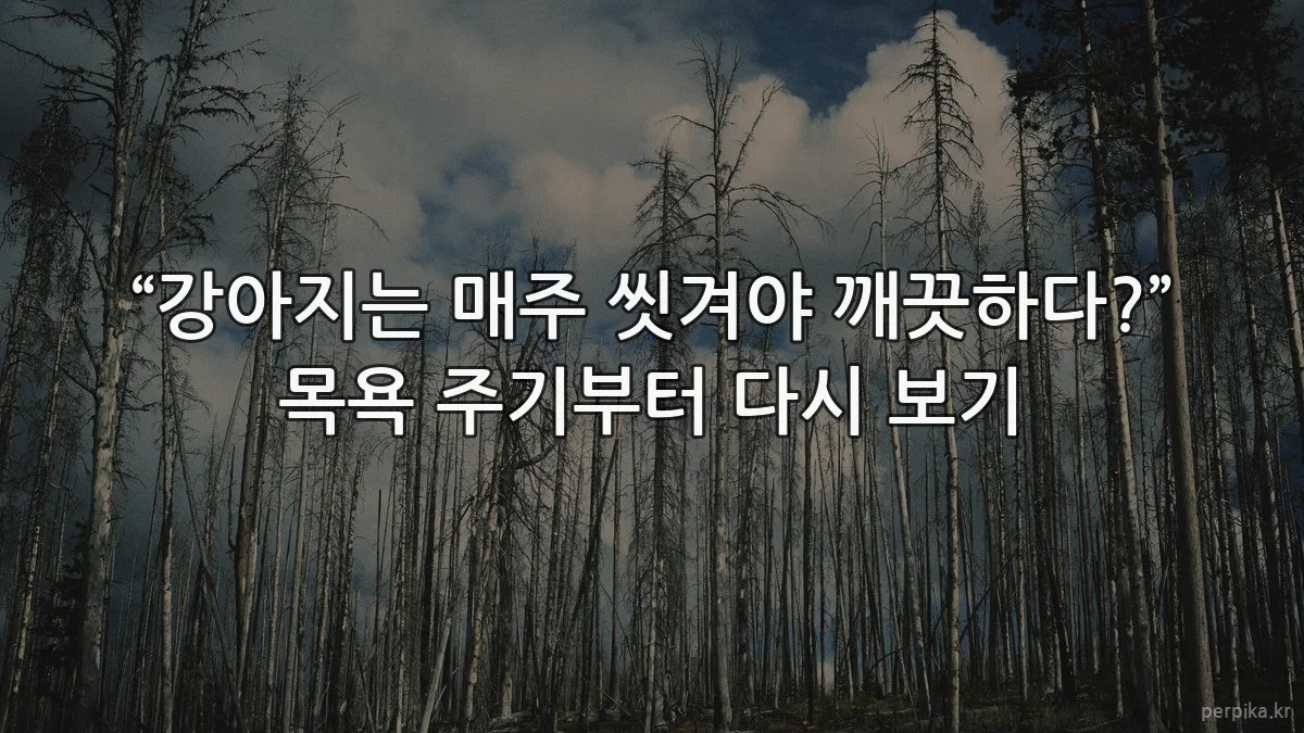 “강아지는 매주 씻겨야 깨끗하다?” 목욕 주기부터 다시 보기