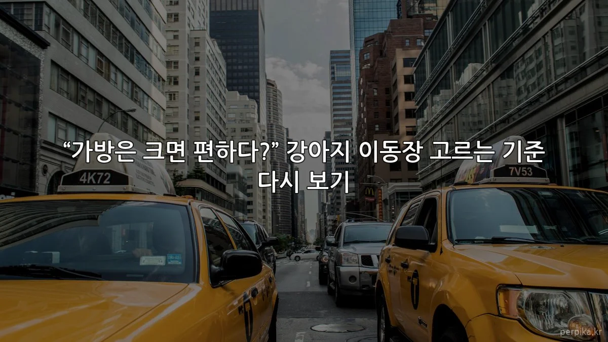 “가방은 크면 편하다?” 강아지 이동장 고르는 기준 다시 보기