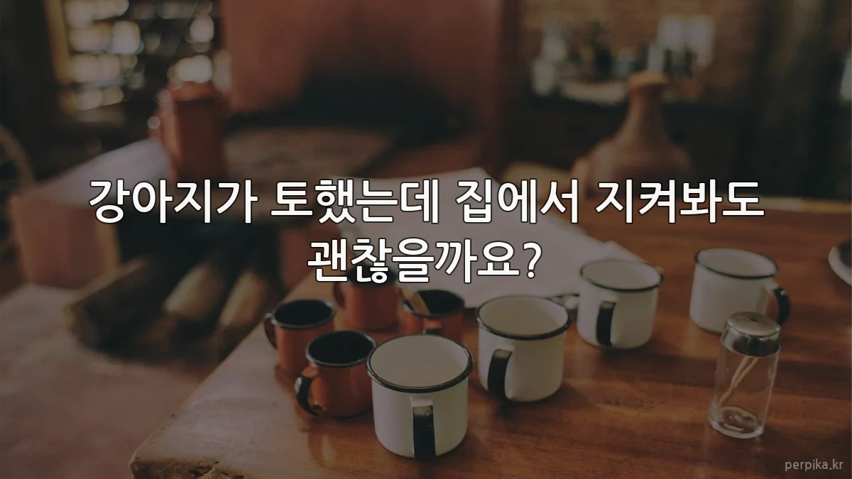 강아지가 토했는데 집에서 지켜봐도 괜찮을까요?
