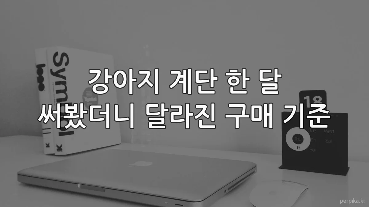 강아지 계단 한 달 써봤더니 달라진 구매 기준