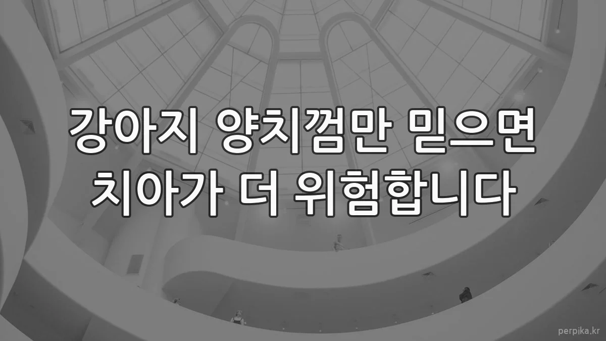 강아지 양치껌만 믿으면 치아가 더 위험합니다