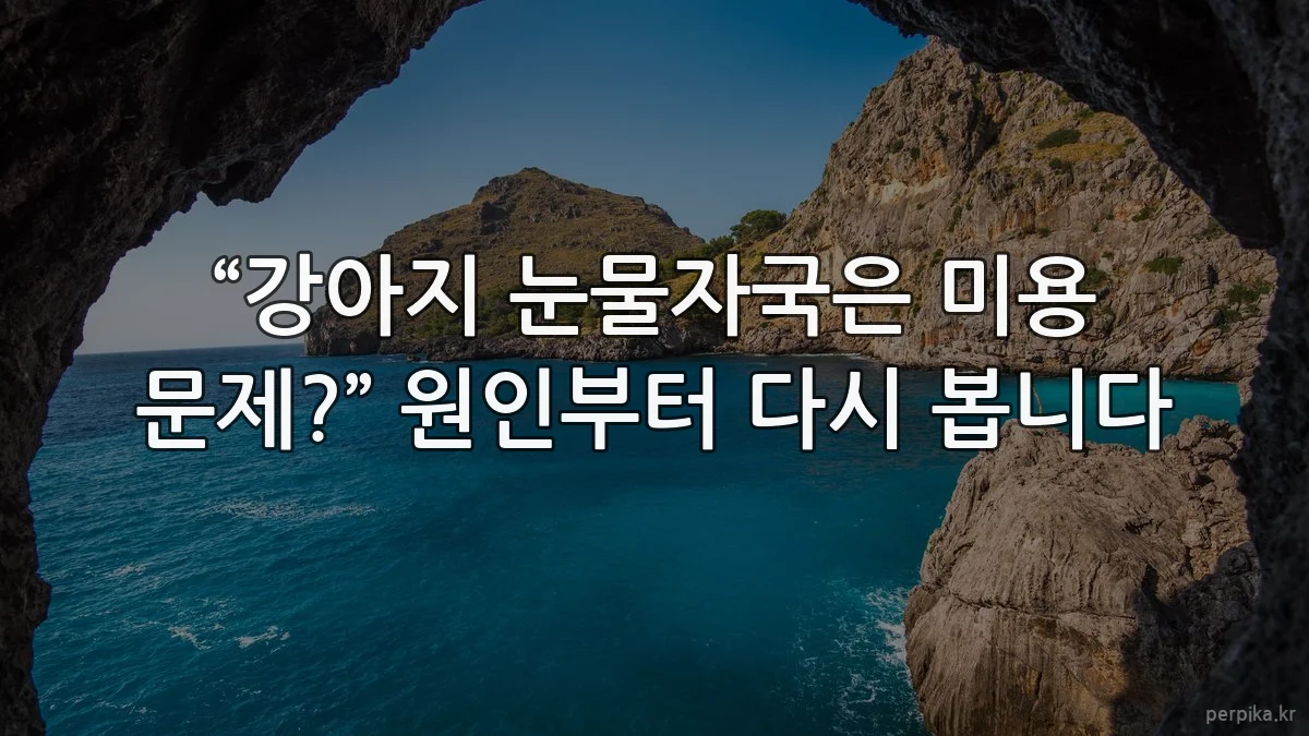 “강아지 눈물자국은 미용 문제?” 원인부터 다시 봅니다