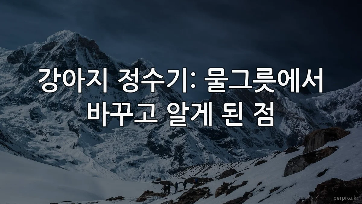 강아지 정수기: 물그릇에서 바꾸고 알게 된 점