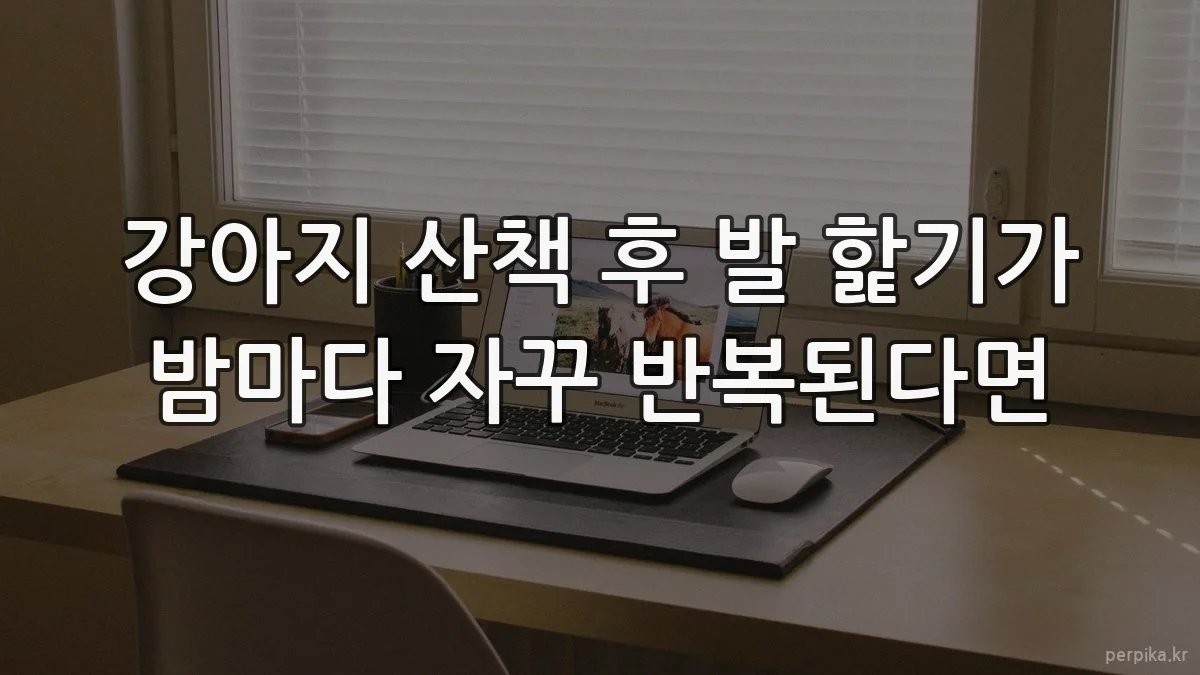 강아지 산책 후 발 핥기가 밤마다 자꾸 반복된다면