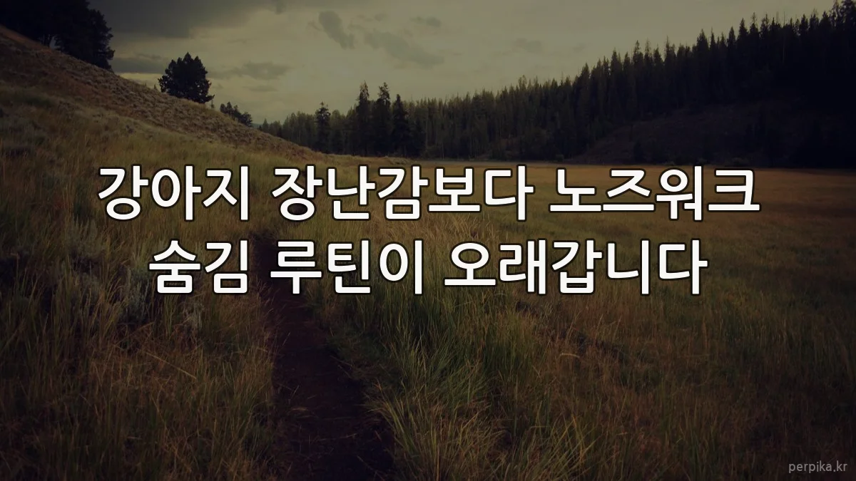 강아지 장난감보다 노즈워크 숨김 루틴이 오래갑니다