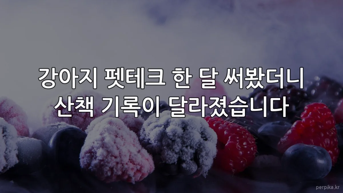 강아지 펫테크 한 달 써봤더니 산책 기록이 달라졌습니다