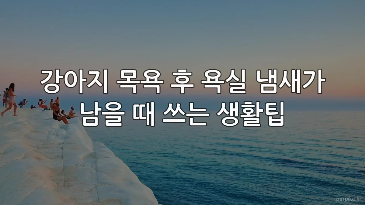 강아지 목욕 후 욕실 냄새가 남을 때 쓰는 생활팁
