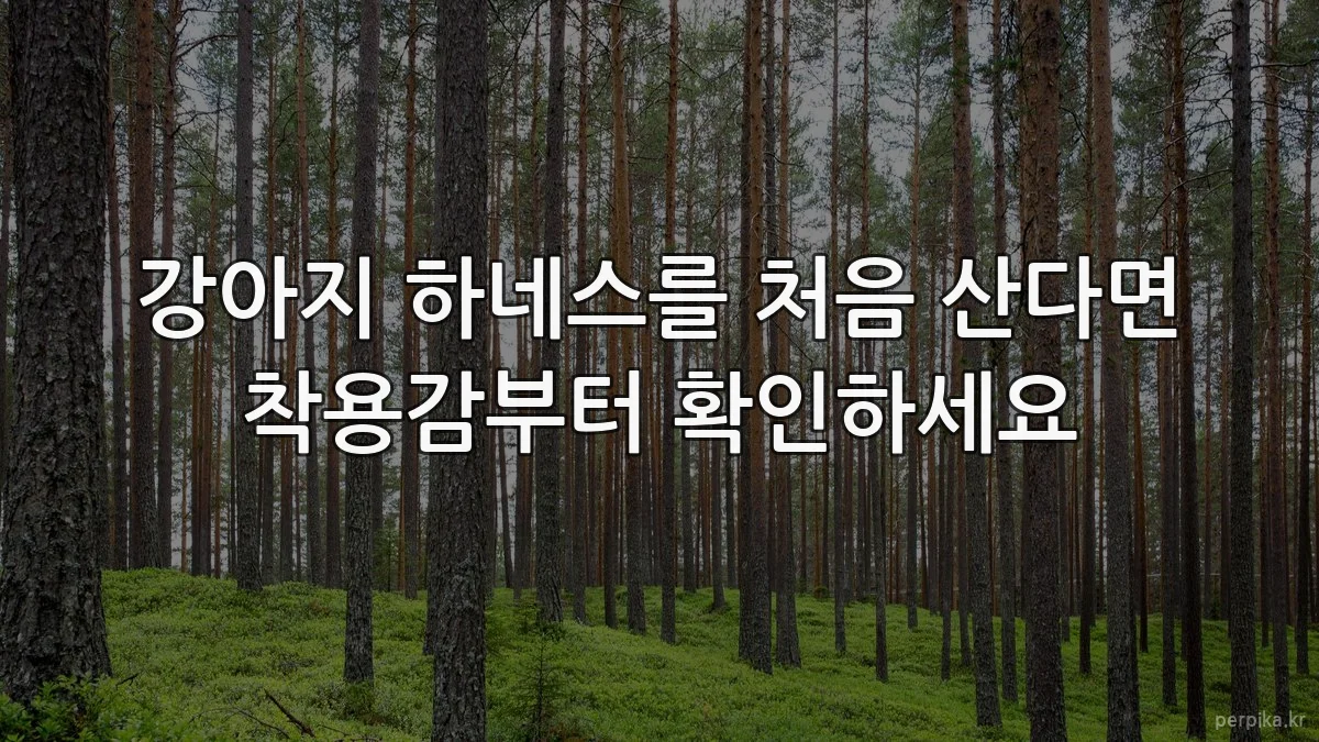 강아지 하네스를 처음 산다면 착용감부터 확인하세요