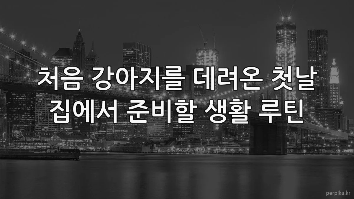 처음 강아지를 데려온 첫날 집에서 준비할 생활 루틴