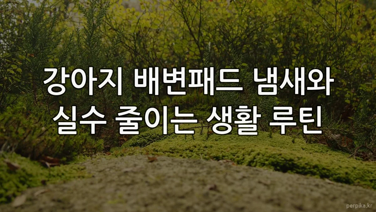강아지 배변패드 냄새와 실수 줄이는 생활 루틴