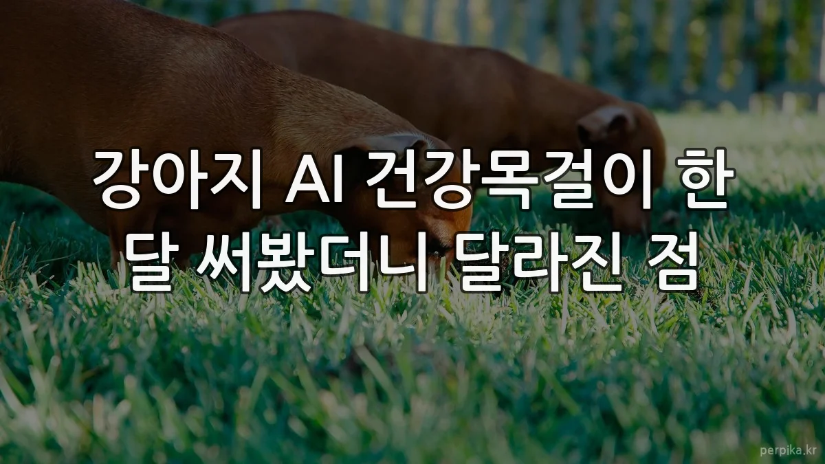 강아지 AI 건강목걸이 한 달 써봤더니 달라진 점