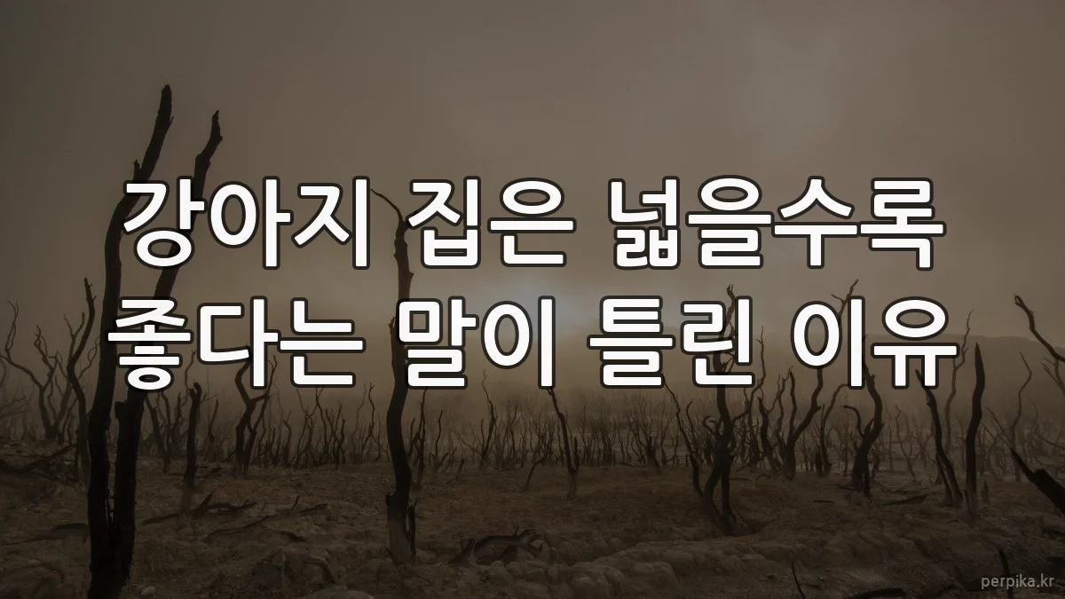 강아지 집은 넓을수록 좋다는 말이 틀린 이유