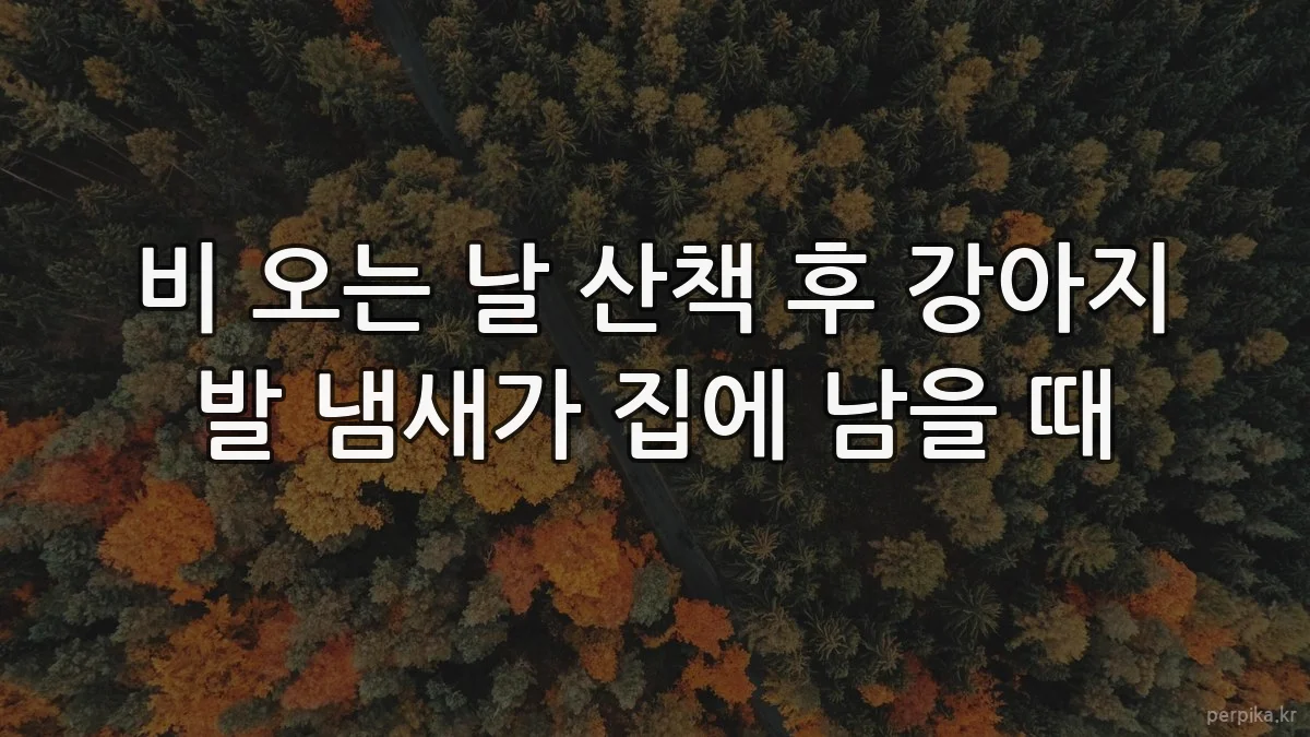 비 오는 날 산책 후 강아지 발 냄새가 집에 남을 때