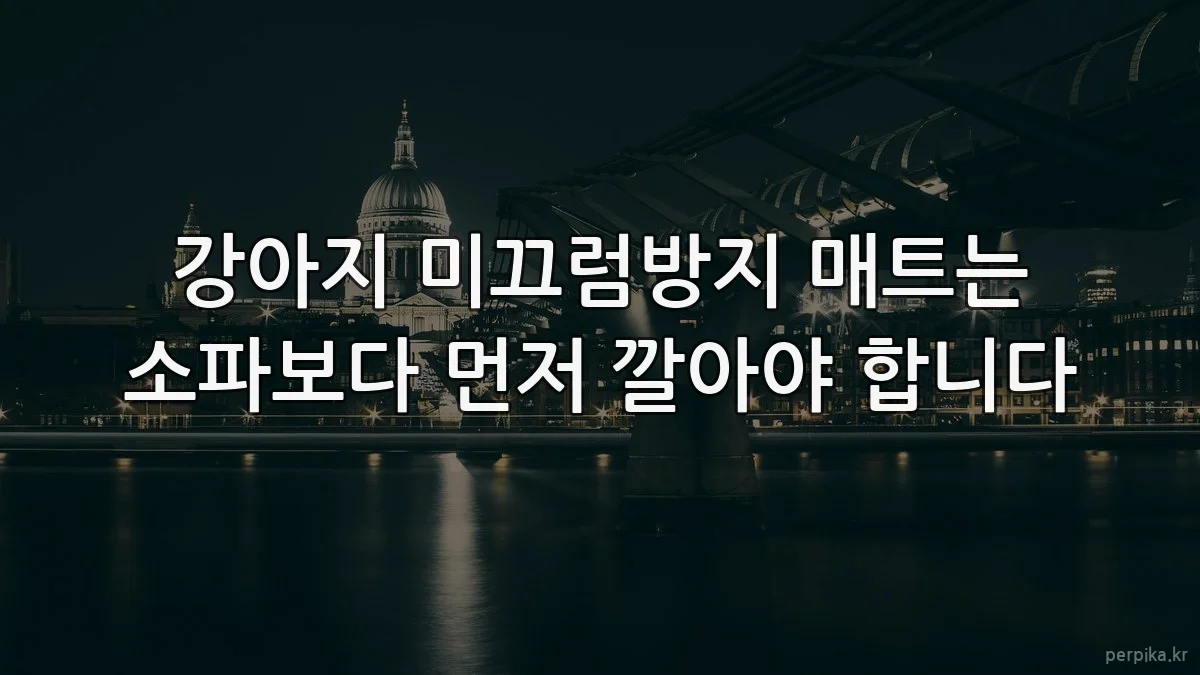 강아지 미끄럼방지 매트는 소파보다 먼저 깔아야 합니다