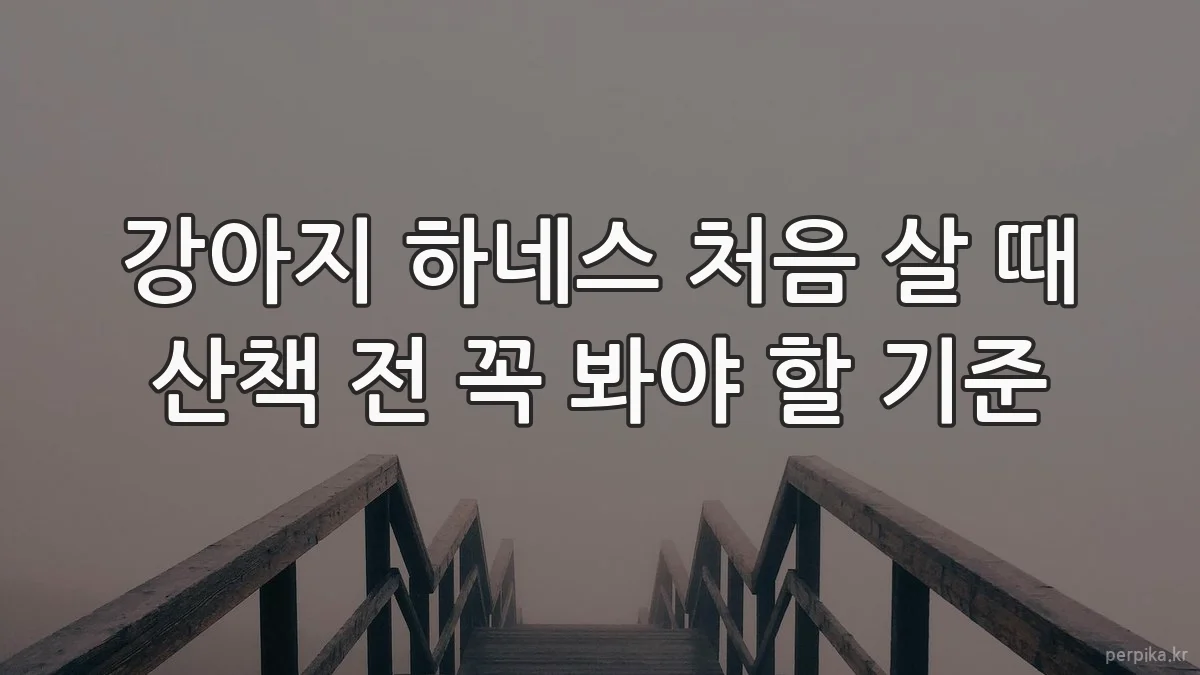 강아지 하네스 처음 살 때 산책 전 꼭 봐야 할 기준