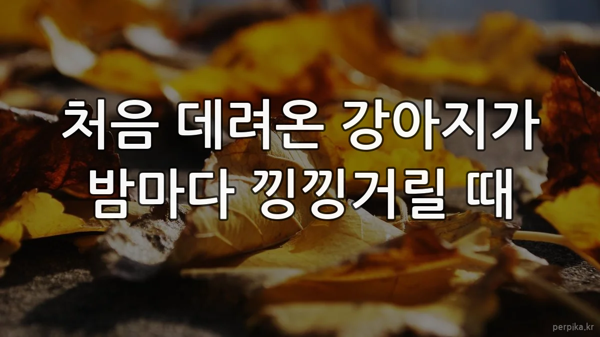 처음 데려온 강아지가 밤마다 낑낑거릴 때