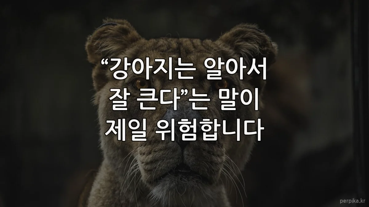 “강아지는 알아서 잘 큰다”는 말이 제일 위험합니다