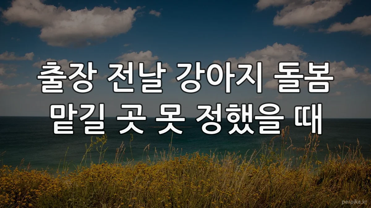 출장 전날 강아지 돌봄 맡길 곳 못 정했을 때