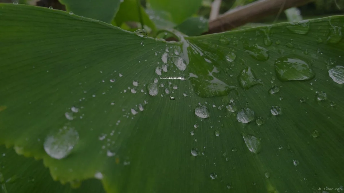봄 시즌, 나만의 포트폴리오 준비법 5단계