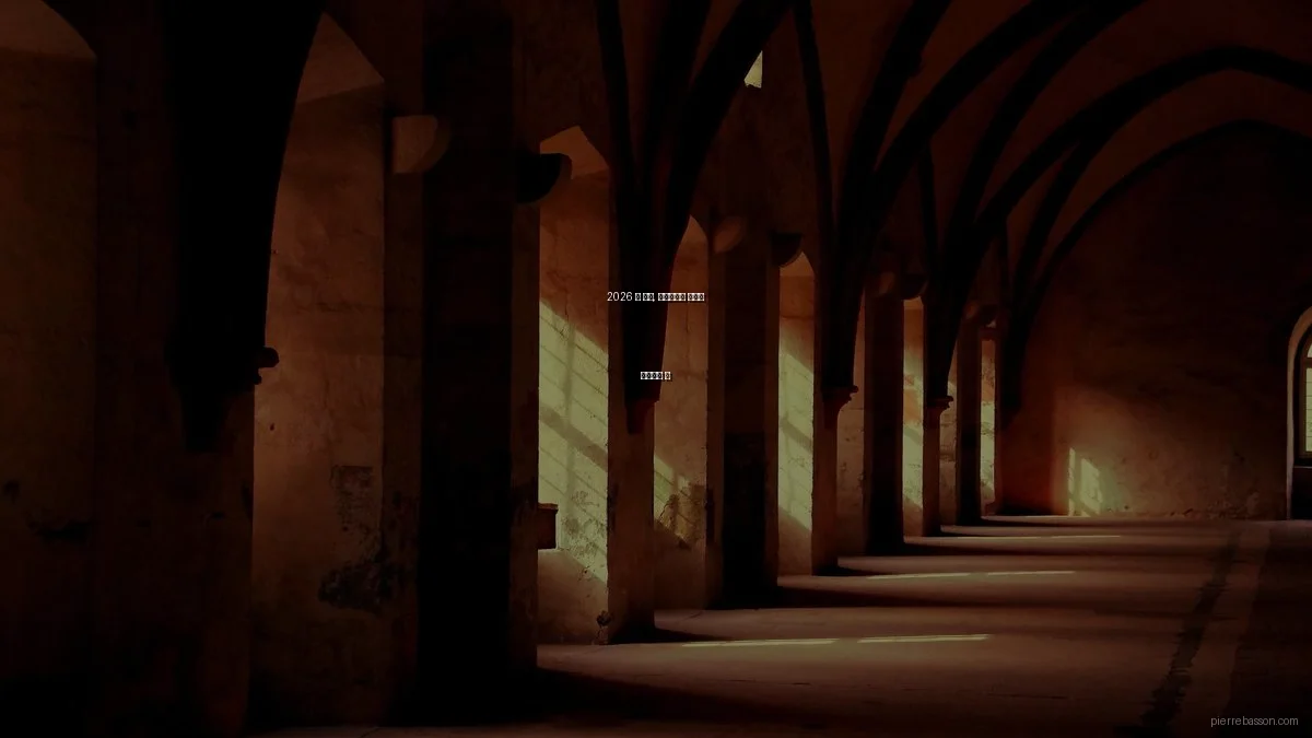 2026 봄 시즌, 포트폴리오 디자인 트렌드와 팁