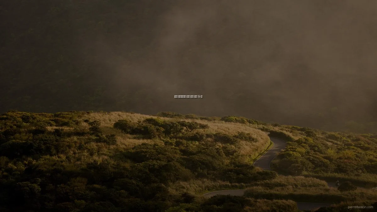 봄철 포트폴리오 촬영 장소 추천 & 팁