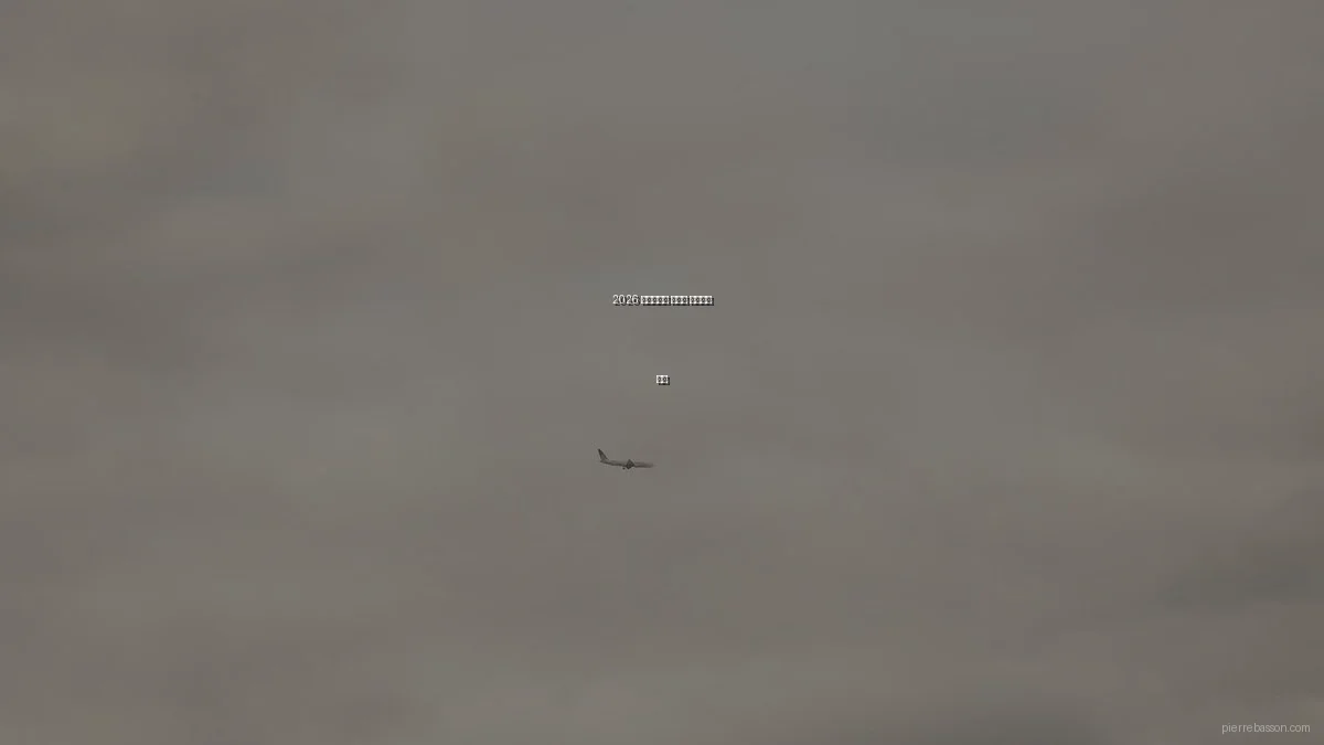 2026 포트폴리오 디자인 트렌드와 전망