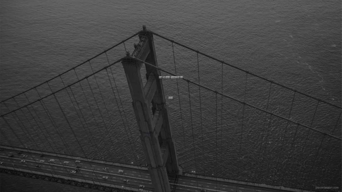 사진 vs 디자인: 포트폴리오의 핵심 선택지