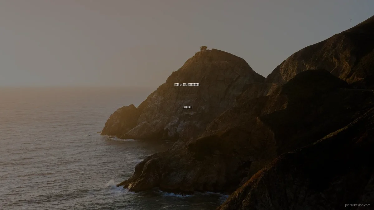 디자인 vs 사진: 전문 포트폴리오 선택 가이드