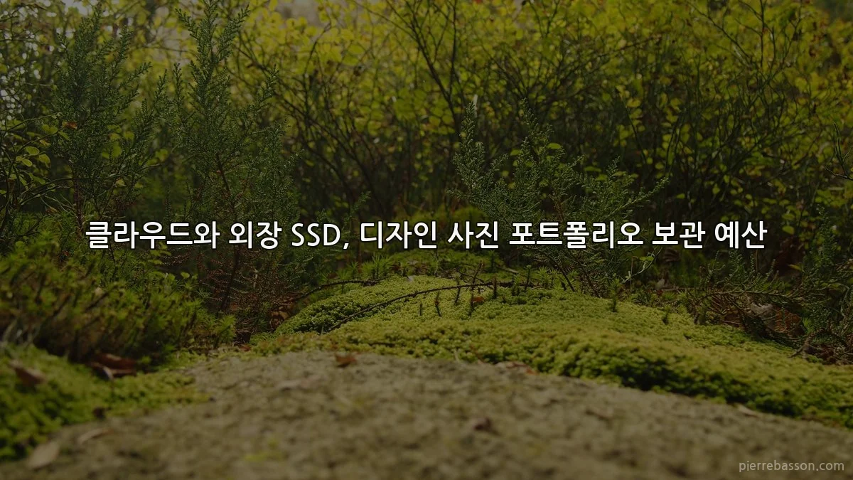 클라우드와 외장 SSD, 디자인 사진 포트폴리오 보관 예산