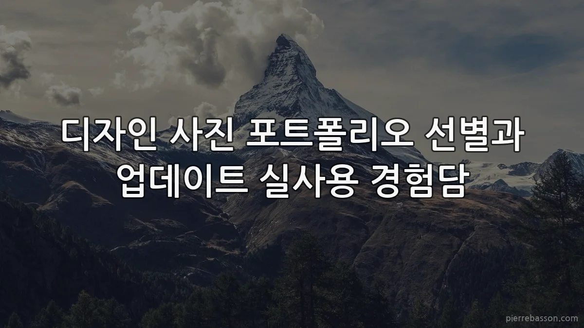 디자인 사진 포트폴리오 선별과 업데이트 실사용 경험담