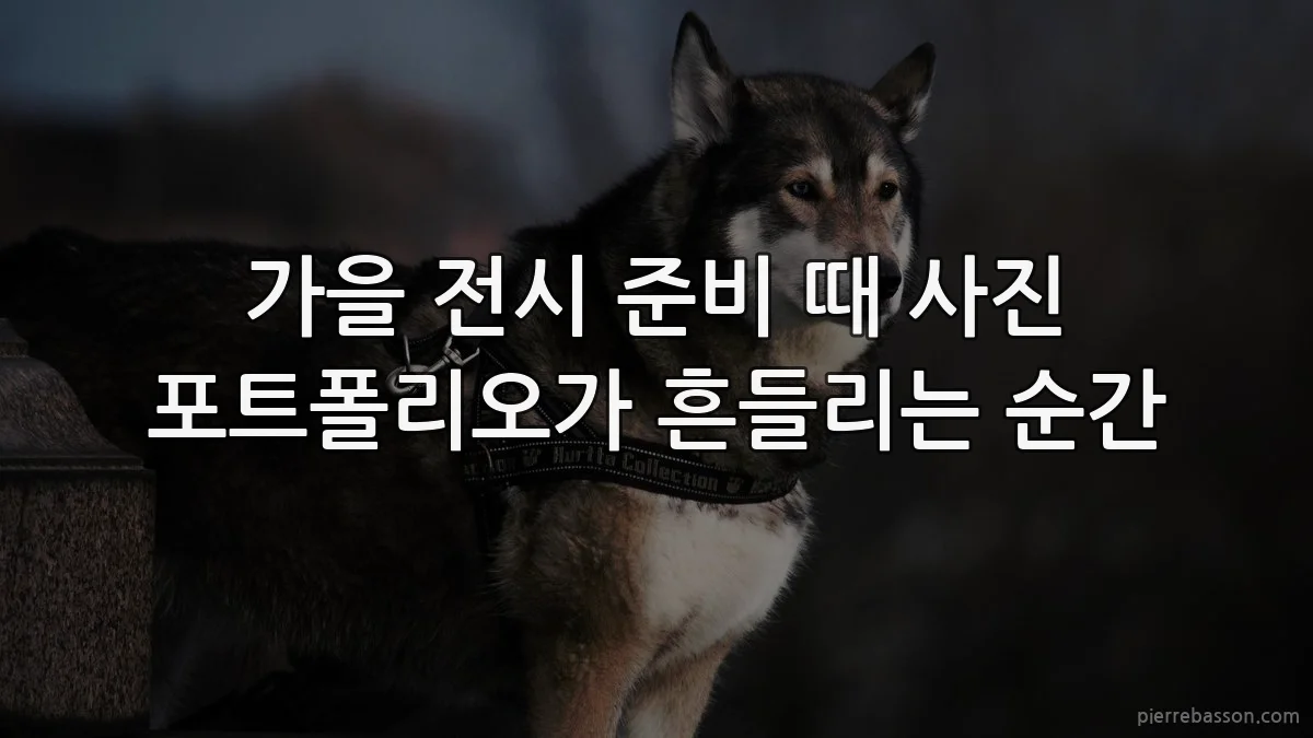 가을 전시 준비 때 사진 포트폴리오가 흔들리는 순간