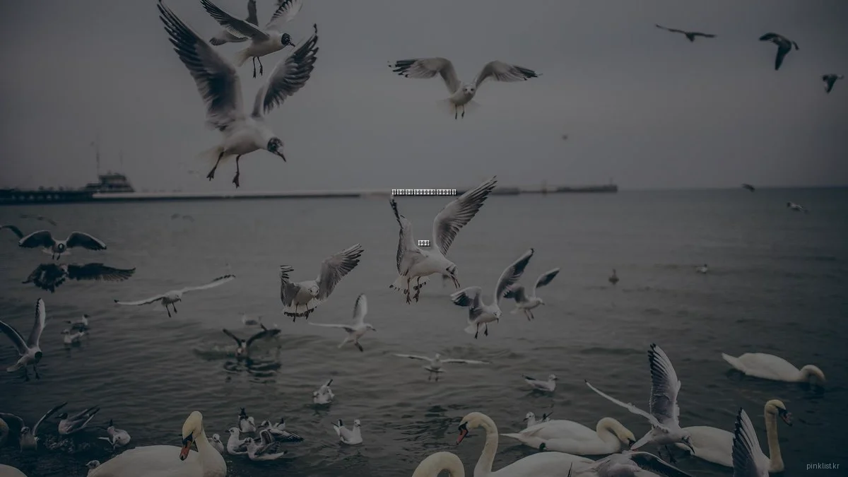 봄 맞이 여성 라이프스타일 트렌드와 팁 총정리