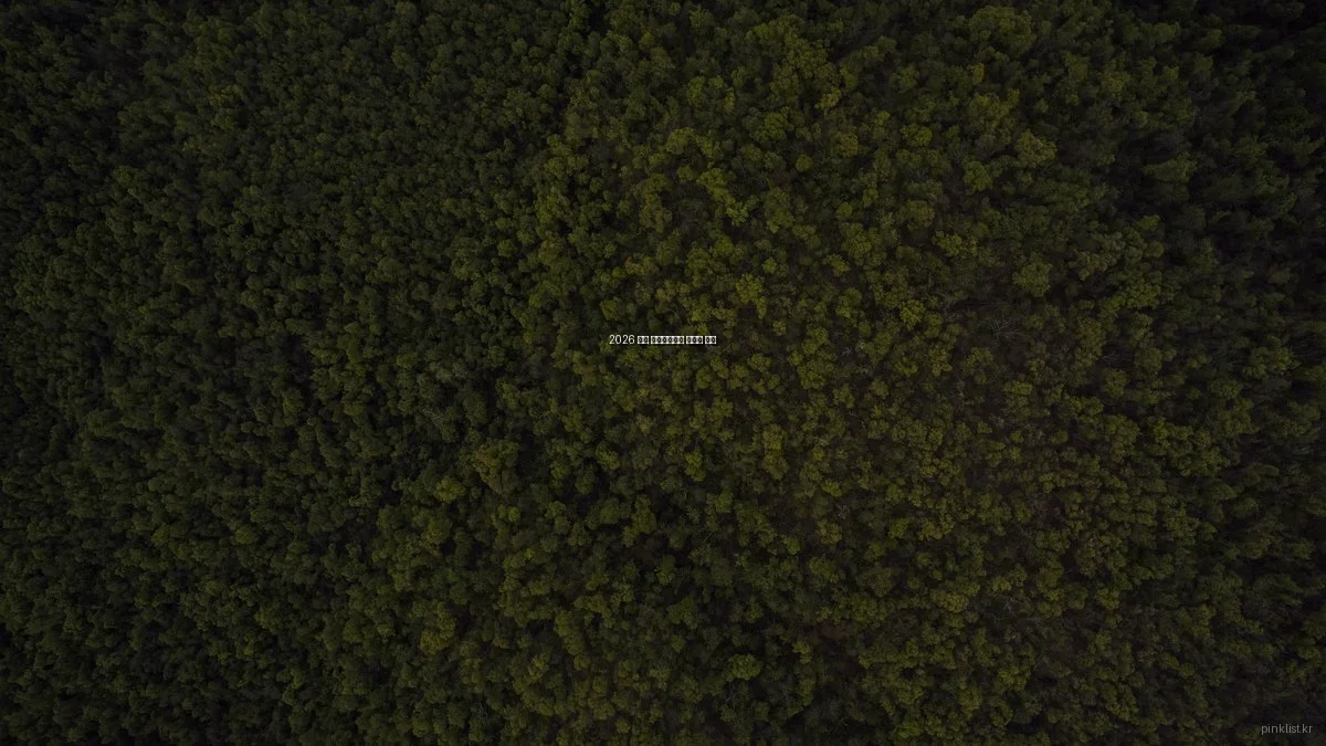 2026 여성 라이프스타일 트렌드 분석