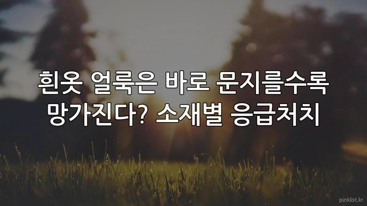 흰옷 얼룩은 바로 문지를수록 망가진다? 소재별 응급처치