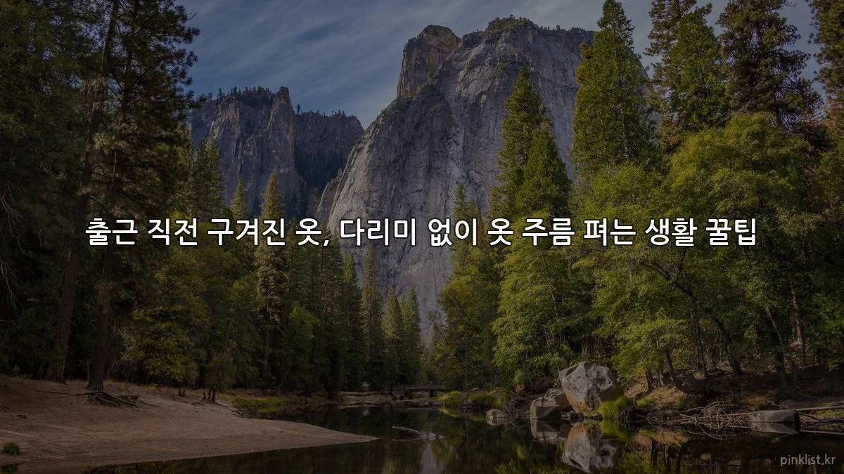 출근 직전 구겨진 옷, 다리미 없이 옷 주름 펴는 생활 꿀팁