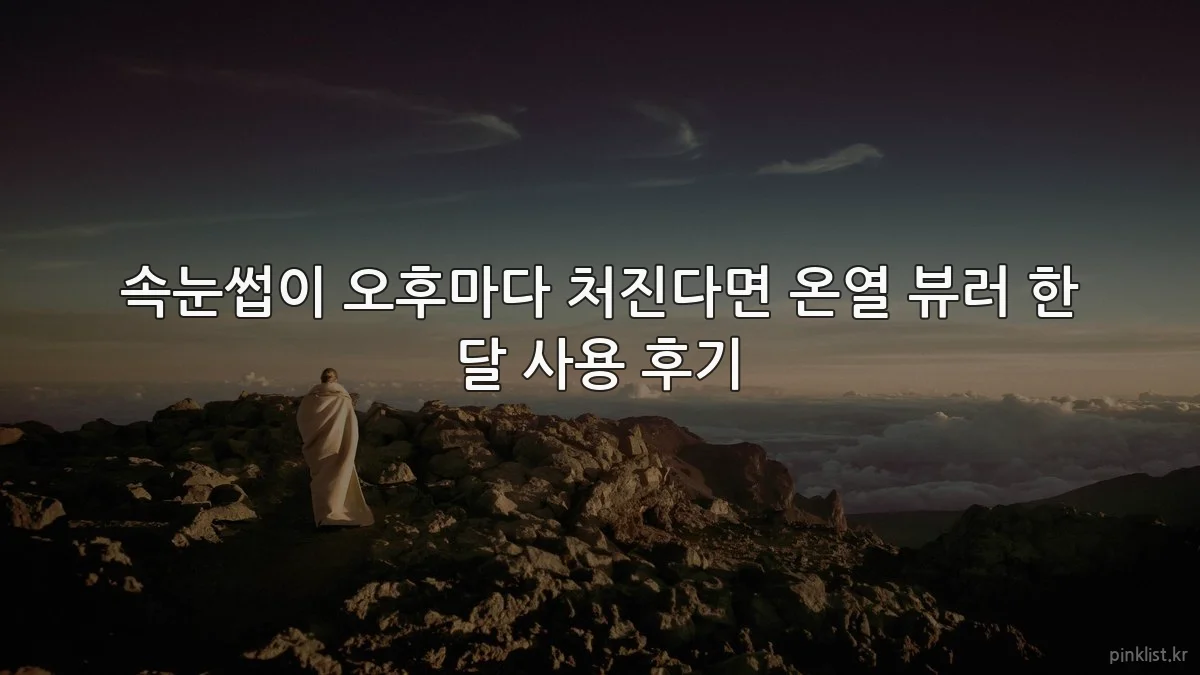 속눈썹이 오후마다 처진다면 온열 뷰러 한 달 사용 후기