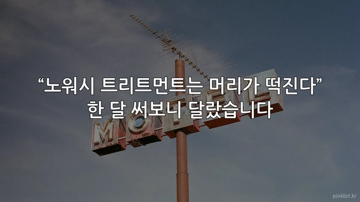 “노워시 트리트먼트는 머리가 떡진다” 한 달 써보니 달랐습니다