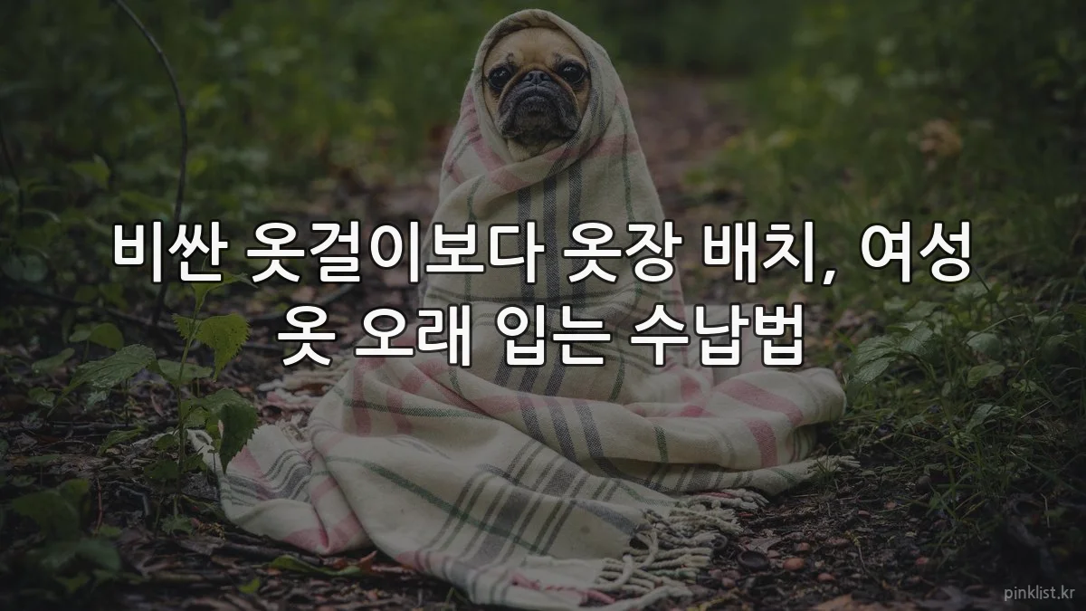 비싼 옷걸이보다 옷장 배치, 여성 옷 오래 입는 수납법