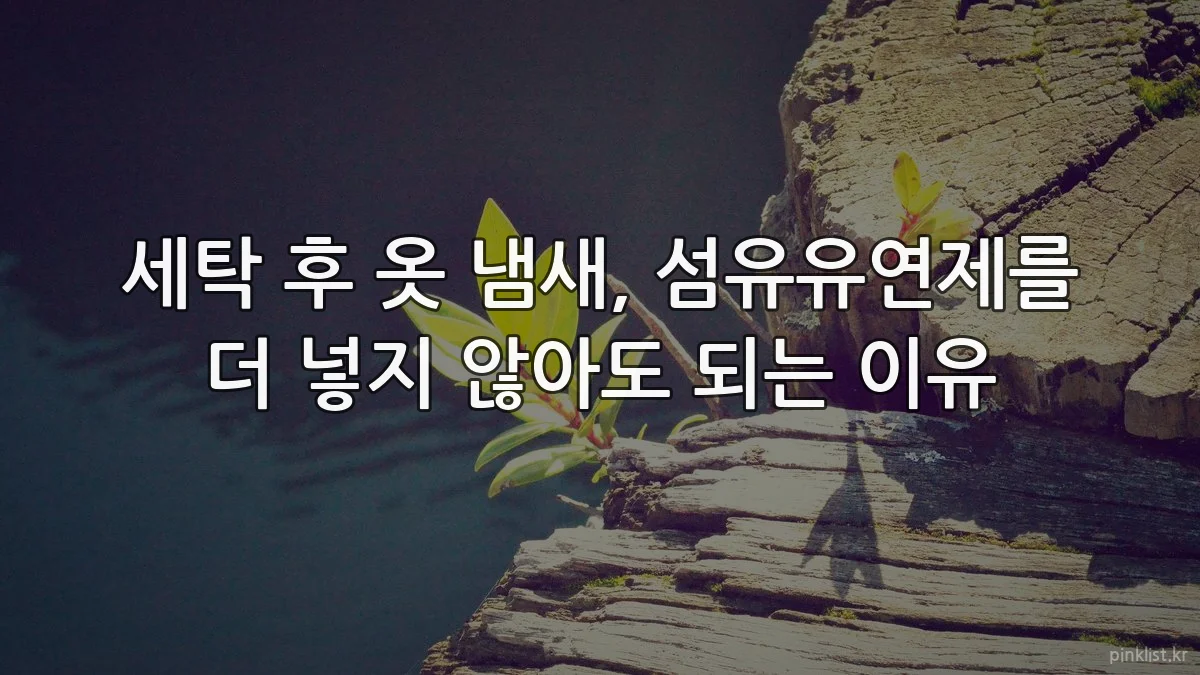 세탁 후 옷 냄새, 섬유유연제를 더 넣지 않아도 되는 이유