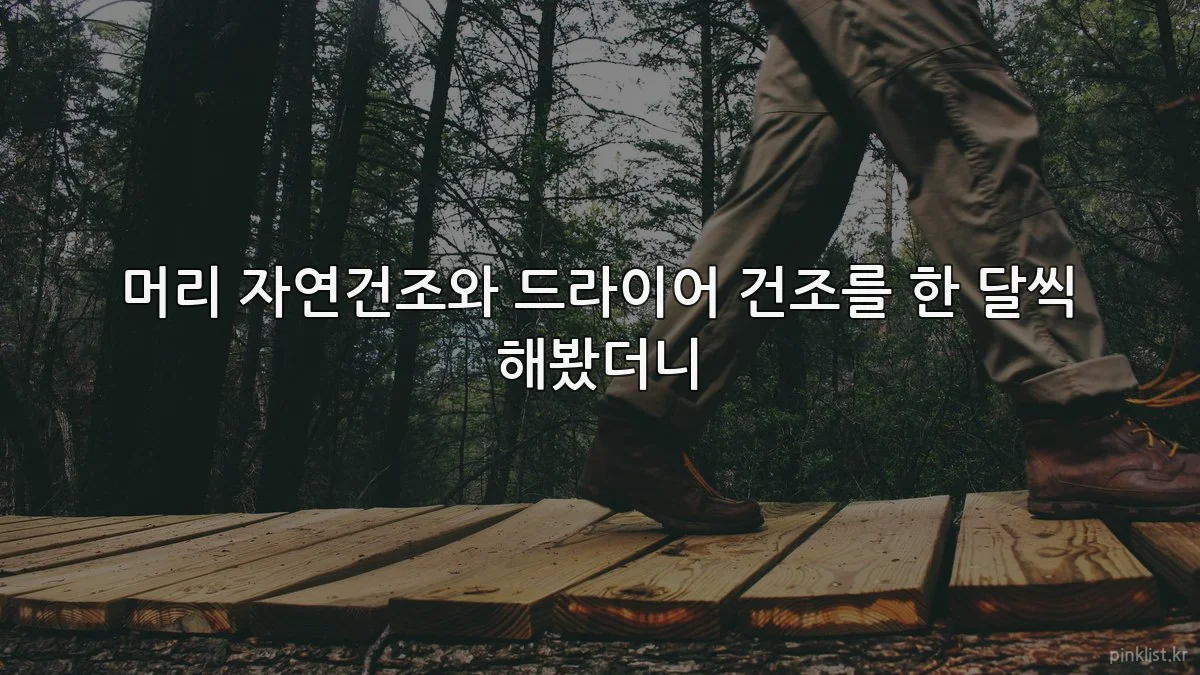 머리 자연건조와 드라이어 건조를 한 달씩 해봤더니