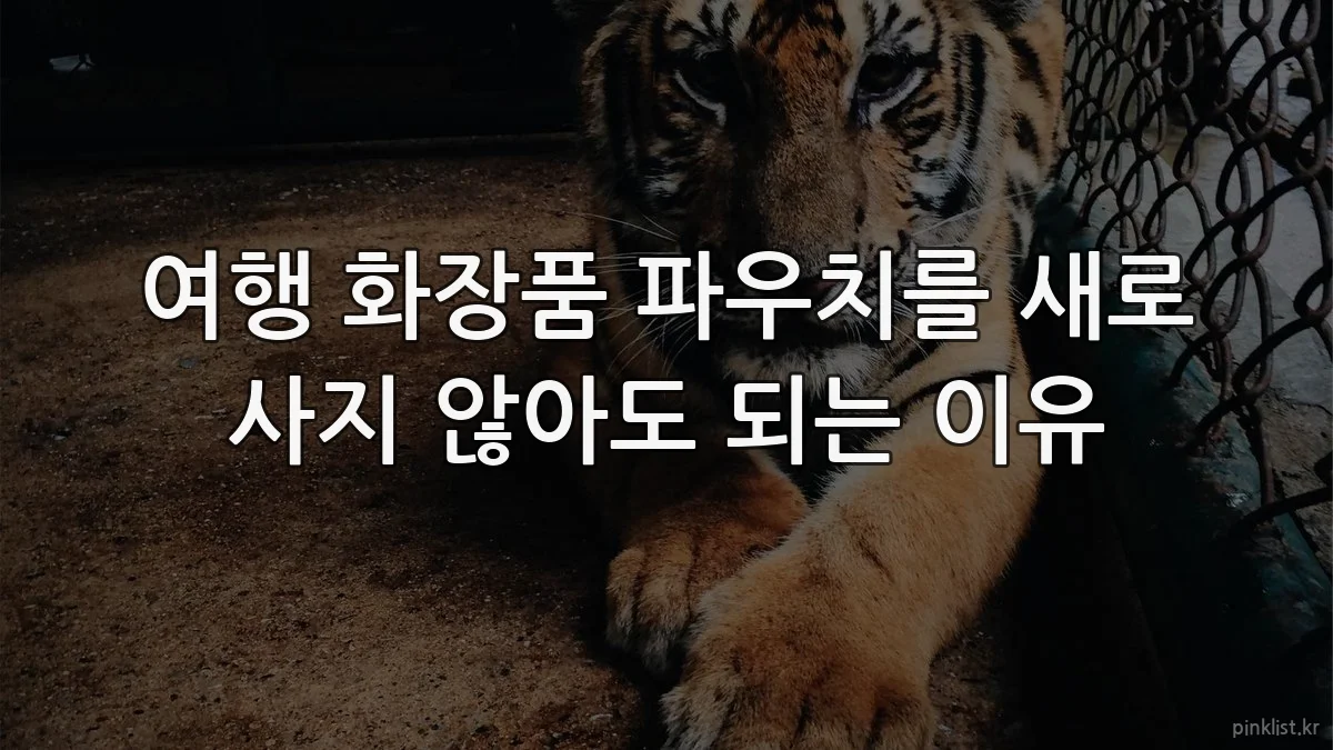 여행 화장품 파우치를 새로 사지 않아도 되는 이유
