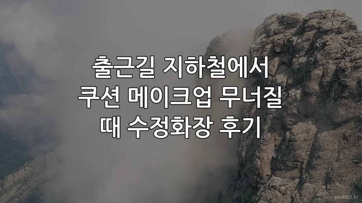 출근길 지하철에서 쿠션 메이크업 무너질 때 수정화장 후기