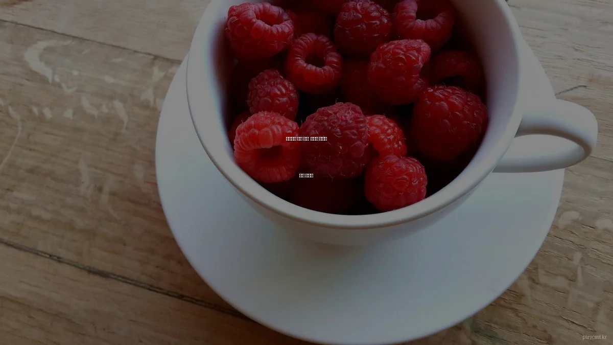 팟캐스트 활용 꿀팁: 최적의 오디오 환경 만들기