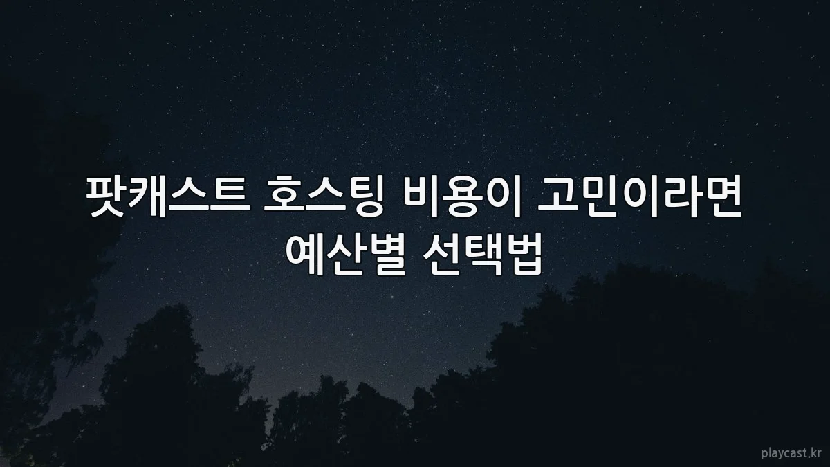 팟캐스트 호스팅 비용이 고민이라면 예산별 선택법
