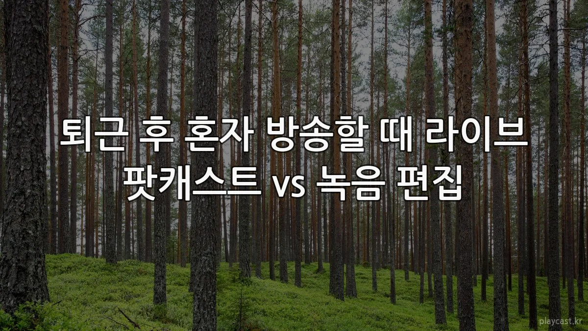 퇴근 후 혼자 방송할 때 라이브 팟캐스트 vs 녹음 편집