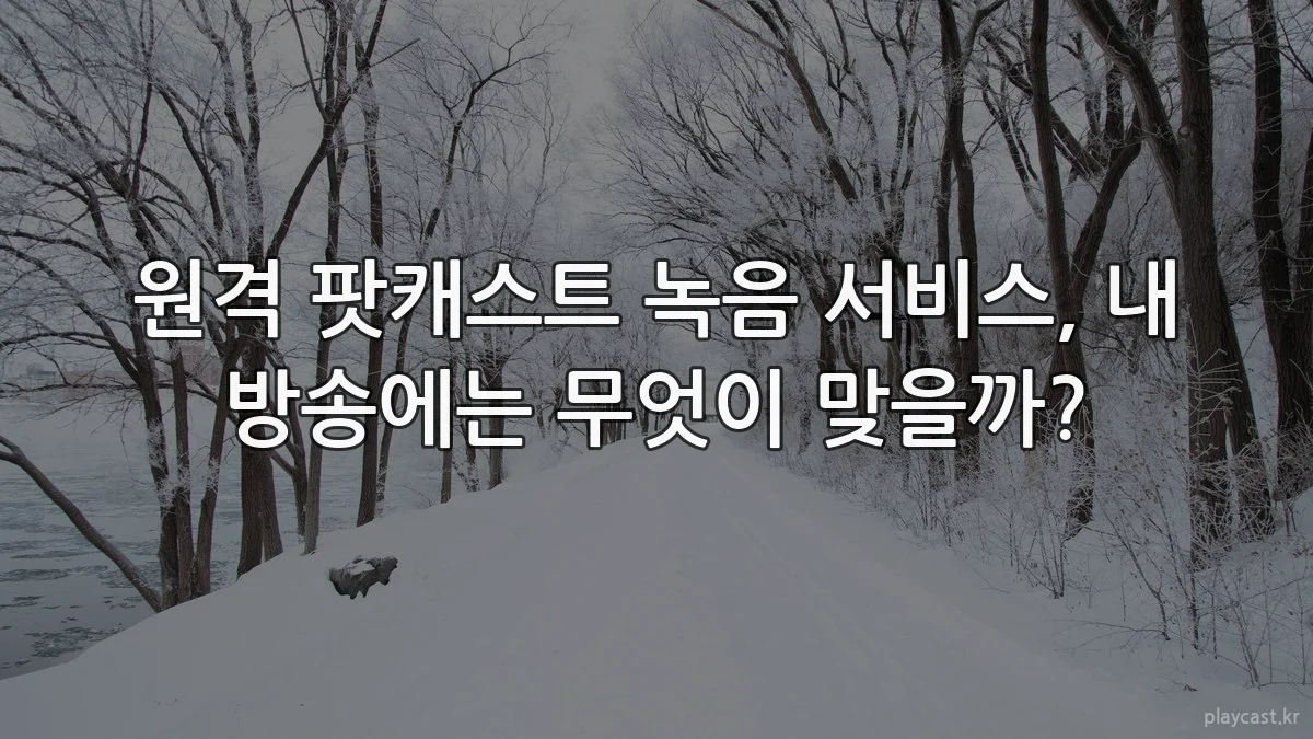 원격 팟캐스트 녹음 서비스, 내 방송에는 무엇이 맞을까?