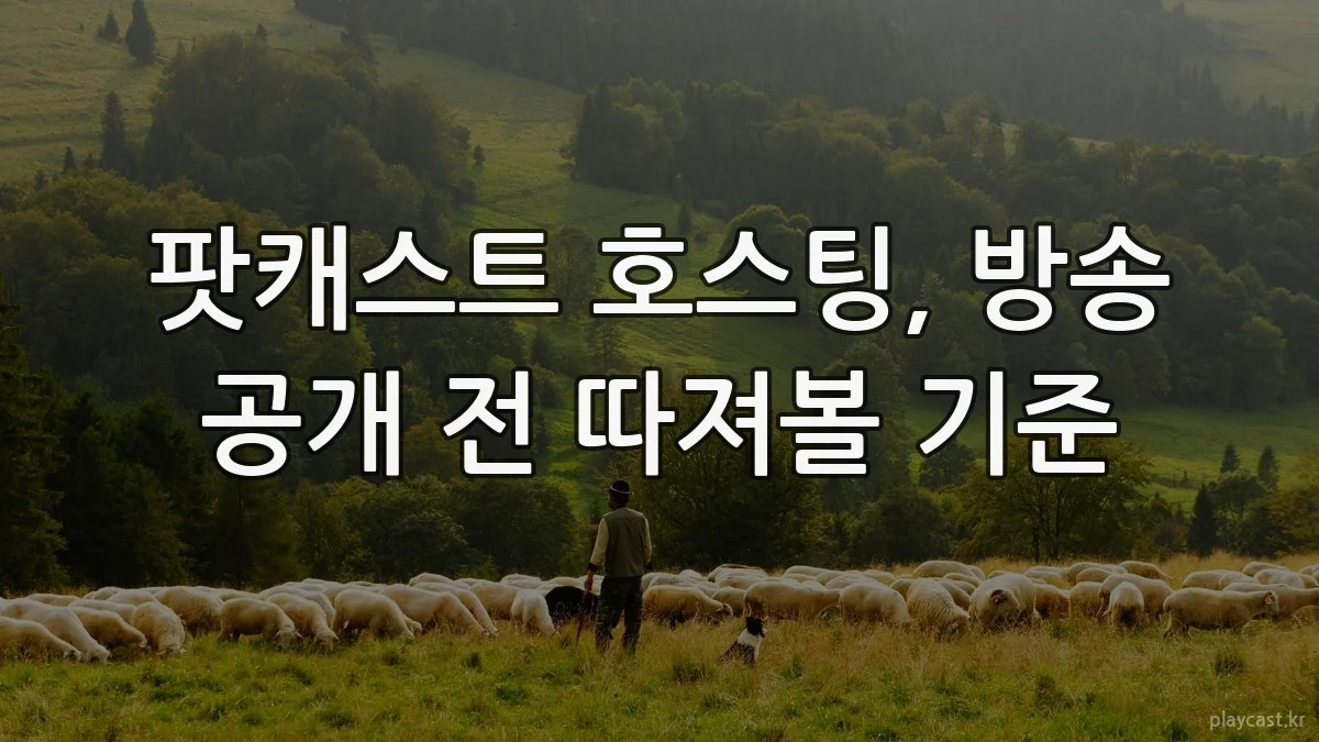 팟캐스트 호스팅, 방송 공개 전 따져볼 기준