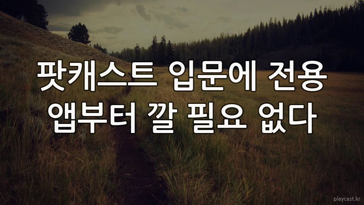 팟캐스트 입문에 전용 앱부터 깔 필요 없다
